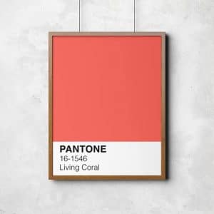 pantone living coral